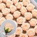 썸네일(스크롤)